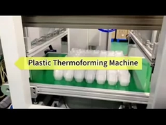 อัตโนมัติเต็มเครื่อง PP กล่องผลไม้ Thermoforming